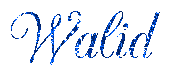 walidblue.gif